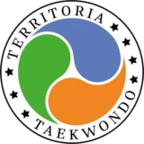 Логотип Школы Таэквон-до Владислава Телятникова